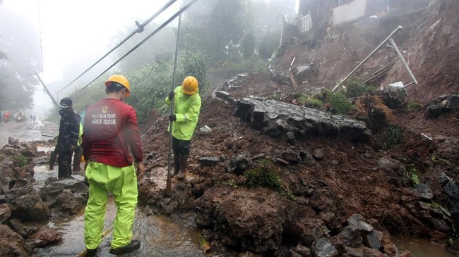 KLHK menilai, longsor di Puncak disebabkan oleh tata ruang yang tak optimal, aktivitas di hutan lindung, dan pemotongan tebing untuk jalan.
