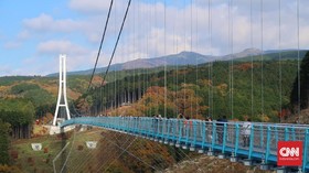 Menatap Gunung Fuji dari Curamnya Mishima Skywalk