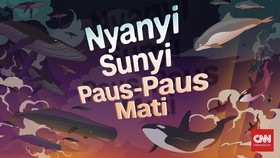 Nyanyi Sunyi Paus-paus Mati