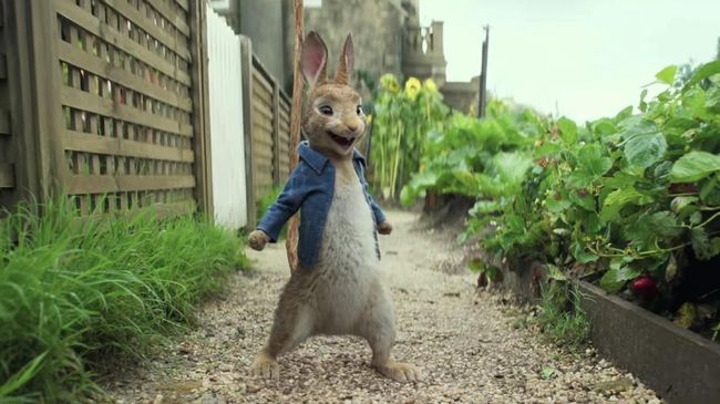 Sony Pictures dikabarkan akan menggarap sekuel 'Peter Rabbit,' yang rencananya tayang 7 Februari 2020.