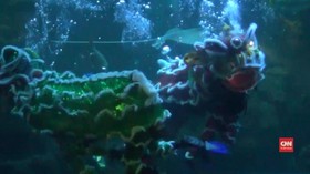 VIDEO: Imlek, Barongsai 'Beraksi' di Aquarium Raksasa