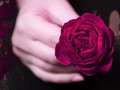Alasan Valentine Dirayakan Tiap 14 Februari