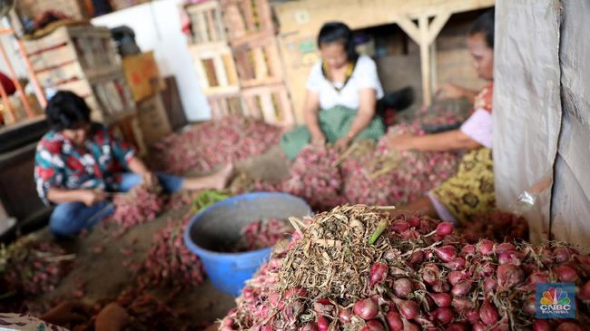 Warning! Stok Pangan RI Mulai Menipis