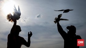 FOTO: Menerbangkan Merpati, Melepas Penat Sesak Jakarta