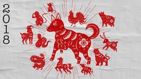 Peruntungan 12 Shio Tahun Anjing Tanah