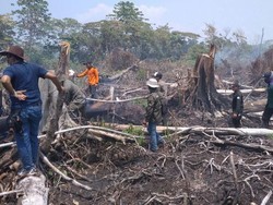Polisi Periksa 3 Saksi Terkait 30 Hektare Hutan di Aceh Jaya Terbakar