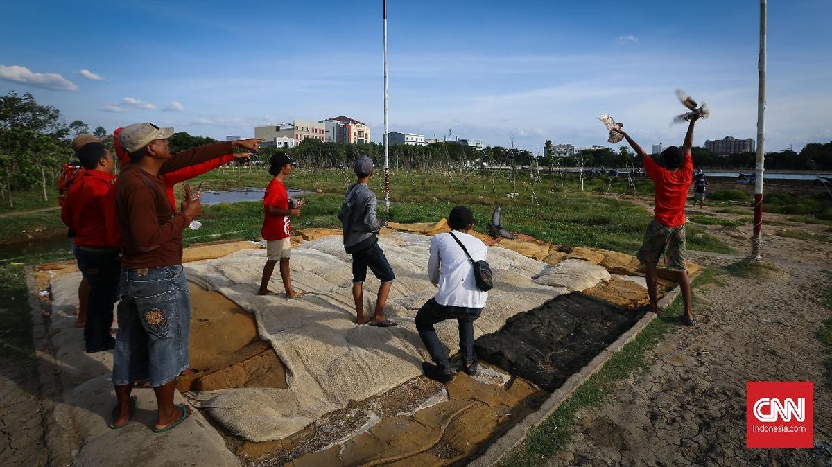FOTO: Menerbangkan Merpati, Melepas Penat Sesak Jakarta