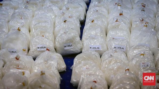Harapan muncul dari sebuah penelitian baru yang menemukan obat untuk menghentikan kecanduan kokain dan overdosis.