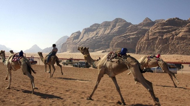 Hujan lebat yang mengguyur beberapa wilayah di Arab Saudi mengubah area tandus menjadi danau dan dijadikan lokasi piknik oleh warga sekitar.