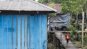 Tingkatkan Kesehatan, Pemerintah Akan Pindahkan Kampung Asmat