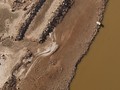 FOTO: Angin Segar di Tengah Kekeringan Afrika Selatan
