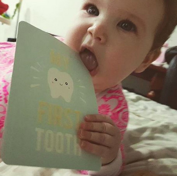<p>"Maaf ya, Bun, kertas ini jadi sasaran gusiku yang gatal."  (Foto: Instagram/ @densweetman)  </p>
