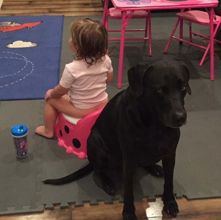 <p>Wah, kalau anak yang ini ada 'penjaga' khususnya saat toilet training, Bun. He-he-he. (Foto: Instagram/scotellis)  </p>