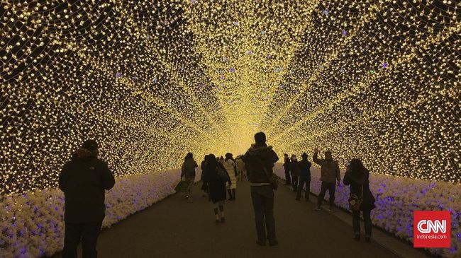 Taman Nabana No Sato menggelar Festival Iluminasi setiap tahunnya. Festival tahunan ini menjadi yang terbesar di Jepang.