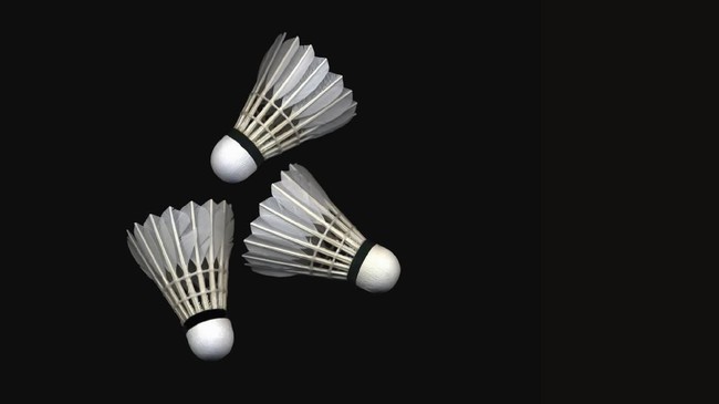 Dua pebulutangkis yang diduga terlibat pengaturan skor memberikan keterangan kepada BWF selama dua hari.