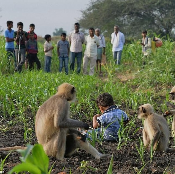 <p>Orang-orang pun jadi sering mendatangi desa tempat tinggal Samarth untuk melijat sendiri persahabatan yang unik ini. (Foto: Getty Images/Manjunath Kiran)</p>