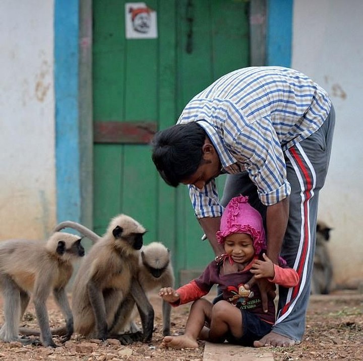 <p>Sang paman, Reddy, sering mengawasi Samarth ketika bersama para monyet tersebut. (Foto: Getty Images/Manjunath Kiran)</p>