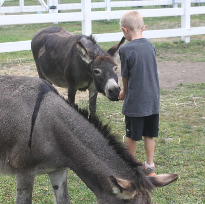 <p>Anak-anak yang belajar dan bermain di sana merasa baik, nyaman, dan aman. (Foto: Suzanne Kelly)</p>
