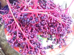 7 Oleh-oleh Khas Kudus Selain Jenang, Kaya Makanan dan Jajanan yang Nikmat