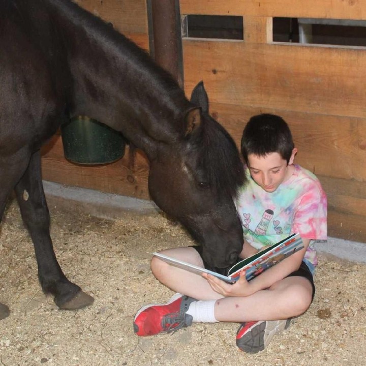 <p>Aktivitas yang populer saat berkemah adalah membaca buku dengan hewan ternak. Hal ini untuk menumbuhkan percaya diri pada anak. (Foto: Suzanne Kelly)</p>
