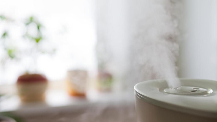 3 Pertimbangan Sebelum Pakai Humidifier di Kamar Anak Ada tiga hal yang perlu diperhatikan Bunda sebelum pakai humidifier di kamar anak. Simak di sini.