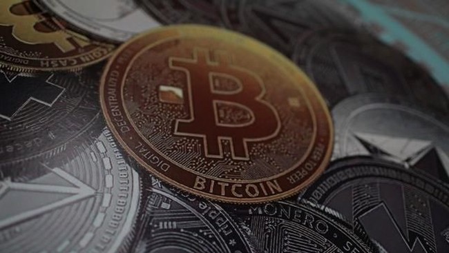 DJP Buka Akses Data Kripto, Orang Super Kaya Masuk Radar