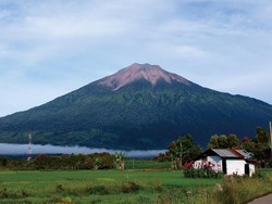 5 Fakta Taman Nasional Kerinci Seblat, Tempat Jatuhnya Heli Kapolda Jambi