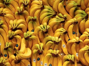 Ini Daftar Buah Paling Dicari Dunia: Ternyata Berlimpah di RI Ini Daftar Buah Paling Dicari Dunia: Ternyata Berlimpah di RI