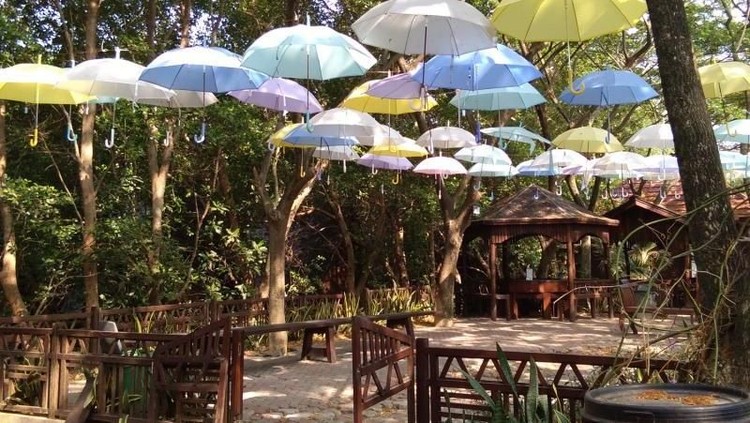 Wisata hutan kota di Jakarta bisa menjadi alternatif isi libur akhir pekan bareng keluarga, Bunda.