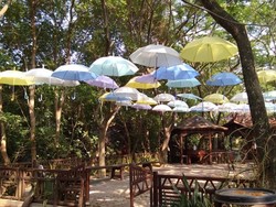 Menjajal Taman Wisata Alam Angke Kapuk di Libur Lebaran
