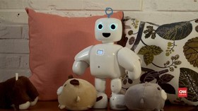 VIDEO: piBo Robot Mini yang Bisa Kenali Orang Berbeda