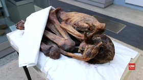 VIDEO: Tato Tertua 5.000 Tahun Ditemukan di Tubuh Mumi