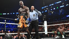 Wilder: Saya Juara Tinju Sejati