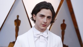 Mereka yang Terabaikan dari Nominasi Oscar 2019