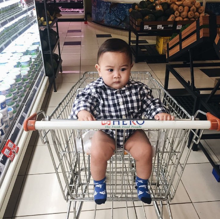 <p>Lucu banget ekspresi Kyo di dalam keranjang belanjaan. (Foto: Instagram/kiranalarasati)</p>