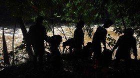 Kematian Bos Matahari di Ciliwung Diduga Terbentur Batu