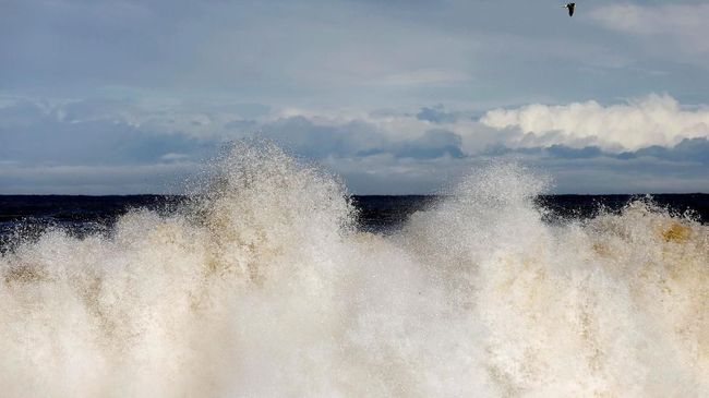 BMKG: Tsunami Lebih dari 0,5 Meter Terjang Palu BMKG mengonfirmasi bahwa tsunami dengan ketinggian lebih dari 0,5 meter menerjang Palu seusai gempa 7,7 SR mengguncang Donggala.