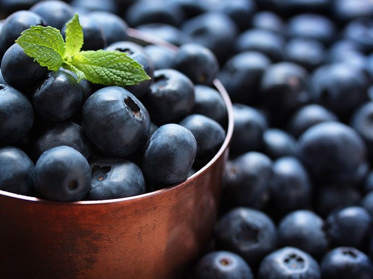Bukan Sembarang Lapisan, Bubuk Putih pada Blueberry Ini Punya Fungsi Penting Bukan Sembarang Lapisan, Bubuk Putih pada Blueberry Ini Punya Fungsi Penting