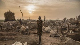 FOTO: Ikatan Suku Sudan Selatan dan Ternak Kala Kekeringan