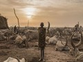 FOTO: Ikatan Suku Sudan Selatan dan Ternak Kala Kekeringan