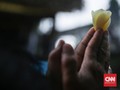 FOTO: Menyuci Diri Sambut Nyepi dengan Melasti