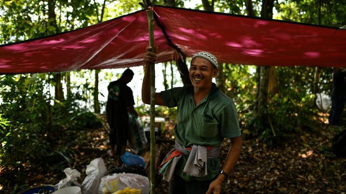 FOTO: Perburuan demi 'Segenggam' Madu