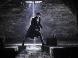 Pandemi Corona, Syuting Fantastic Beasts 3 Jalan Terus?