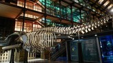 FOTO: Mengenal Kisah Ibu Bumi di Tengah Paris Di tepi Sungai Seine yang membelah kota Paris, berdiri The French National Museum of Natural History mengisahkan perjalanan ibu Bumi menaungi kehidupan manusia.