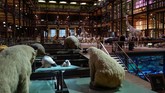 FOTO: Mengenal Kisah Ibu Bumi di Tengah Paris Di tepi Sungai Seine yang membelah kota Paris, berdiri The French National Museum of Natural History mengisahkan perjalanan ibu Bumi menaungi kehidupan manusia.