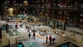FOTO: Mengenal Kisah Ibu Bumi di Tengah Paris Di tepi Sungai Seine yang membelah kota Paris, berdiri The French National Museum of Natural History mengisahkan perjalanan ibu Bumi menaungi kehidupan manusia.