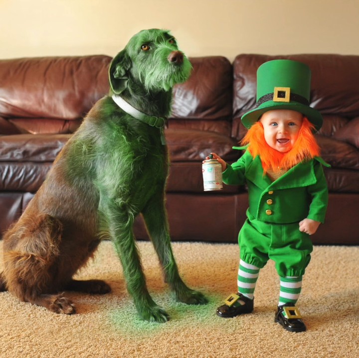 <p>Eh, anjingnya juga berwarna hijau lho. Kompak ya. He-he-he. (Foto: Youtube/ That Dad Blog)  </p>