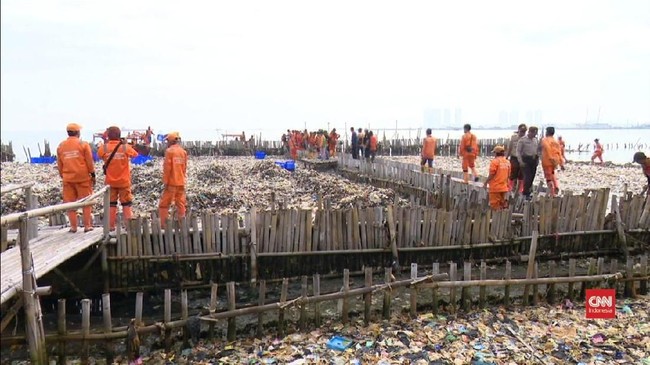 Sampah seberat 50 ton yang diangkut dari kawasan hutan mangrove didominasi limbah rumah tangga. Setelah diangkut, sampah-sampah itu dibawa ke Bantar Gebang.