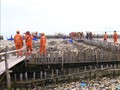 Sampah Muara Angke Mencapai 50 Ton