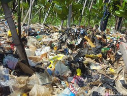 Tumpukan Sampah di Pantai Mangrove Muara Angke Diangkut
